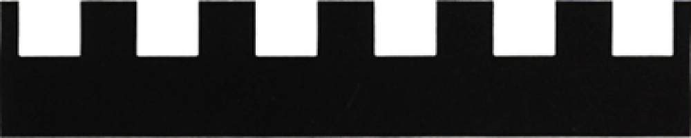 Zahnleisten 280mm C2 Pack à 10 Stück